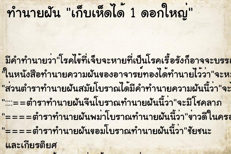 ทำนายฝันเก็บเห็ดได้1ดอกใหญ่ ทำนายฝันทำนายฝันเก็บเห็ดได้1ดอกใหญ่